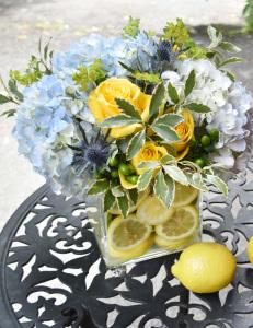 Zesty fresh – Depot Des Fleurs, Montreal PQ