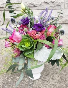 Flamboyant mauve – Depot Des Fleurs, Montreal PQ