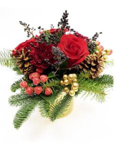 Golden Christmas – Depot Des Fleurs, Montreal PQ