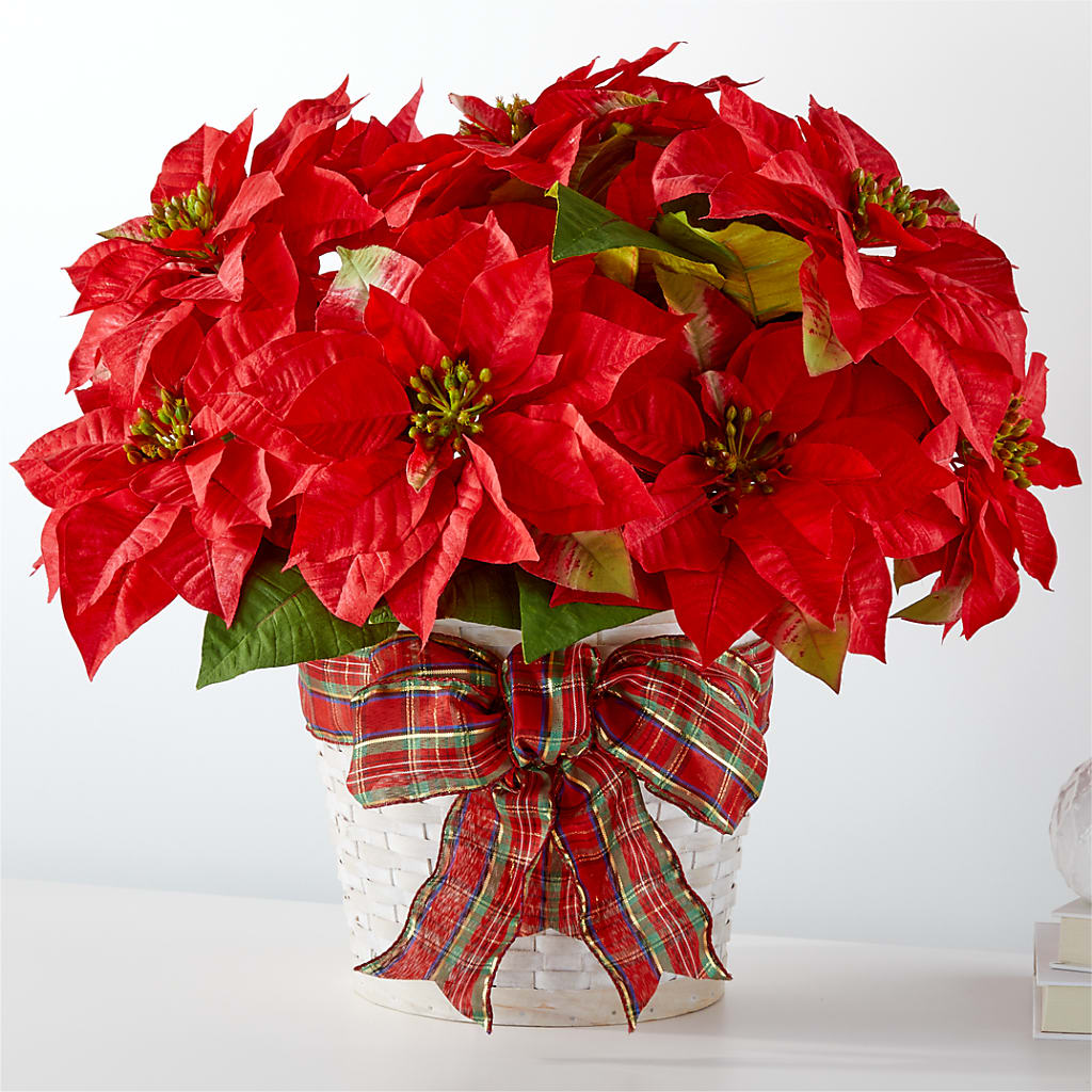 Happiest Holidays Poinsettia – Depot Des Fleurs, Montreal PQ