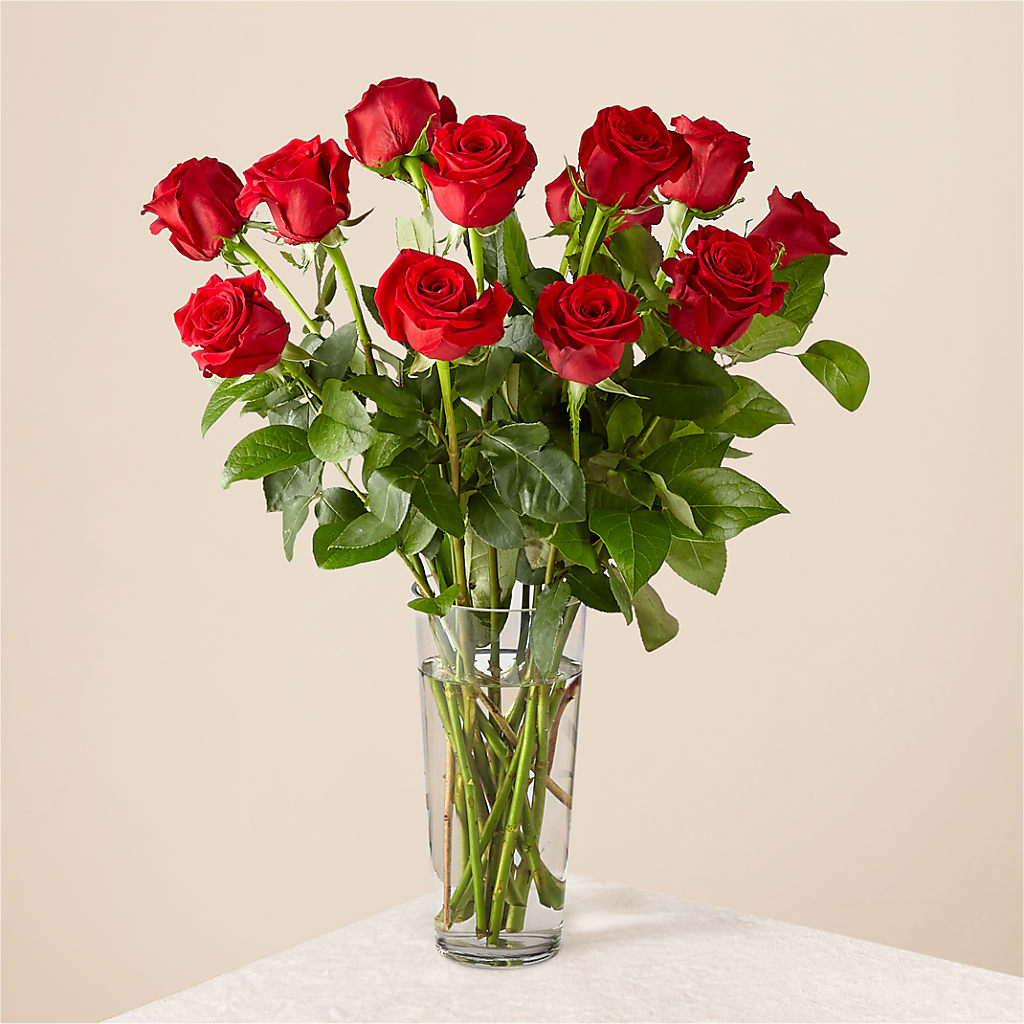 Long Stem Red Rose Bouquet – Depot Des Fleurs, Montreal PQ