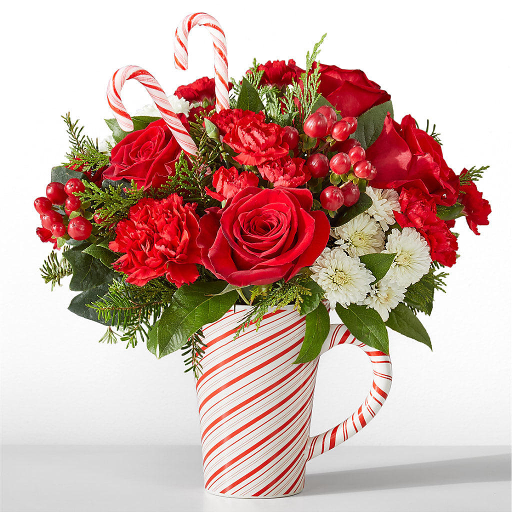 Peppermint Swirl Mug – Depot Des Fleurs, Montreal PQ