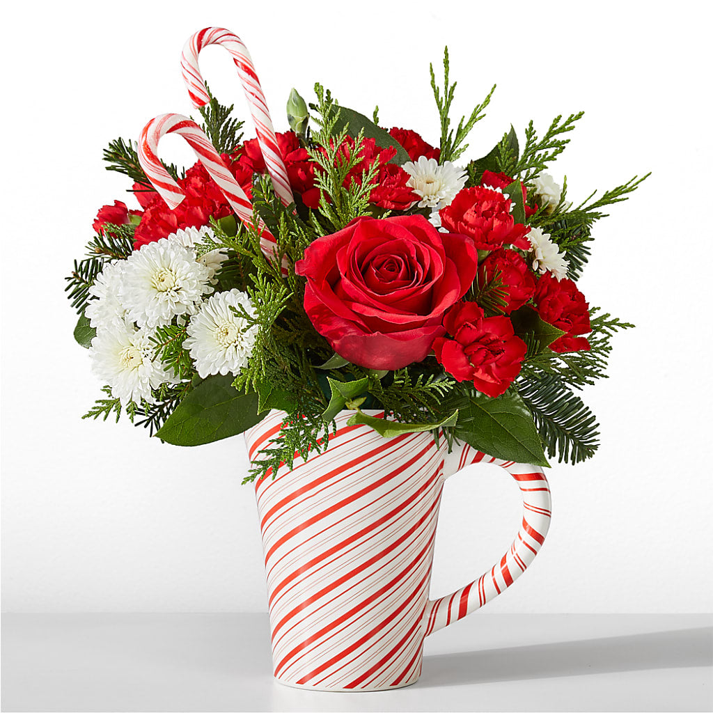 Peppermint Swirl Mug – Depot Des Fleurs, Montreal PQ
