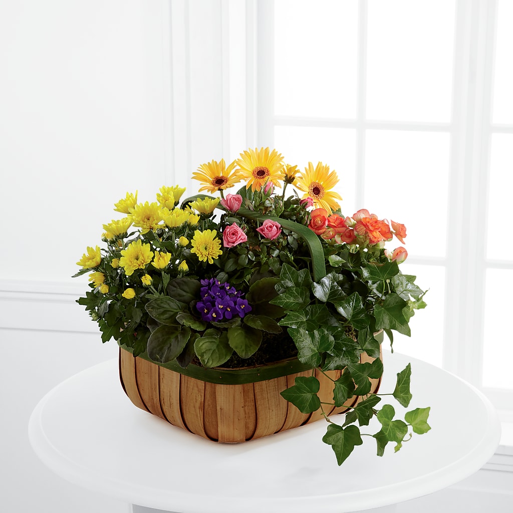 Gentle Blossoms Basket – Depot Des Fleurs, Montreal PQ