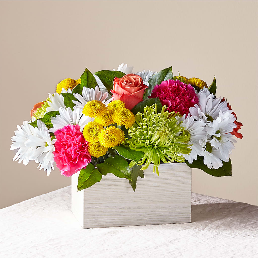 Sorbet Bouquet – Depot Des Fleurs, Montreal PQ