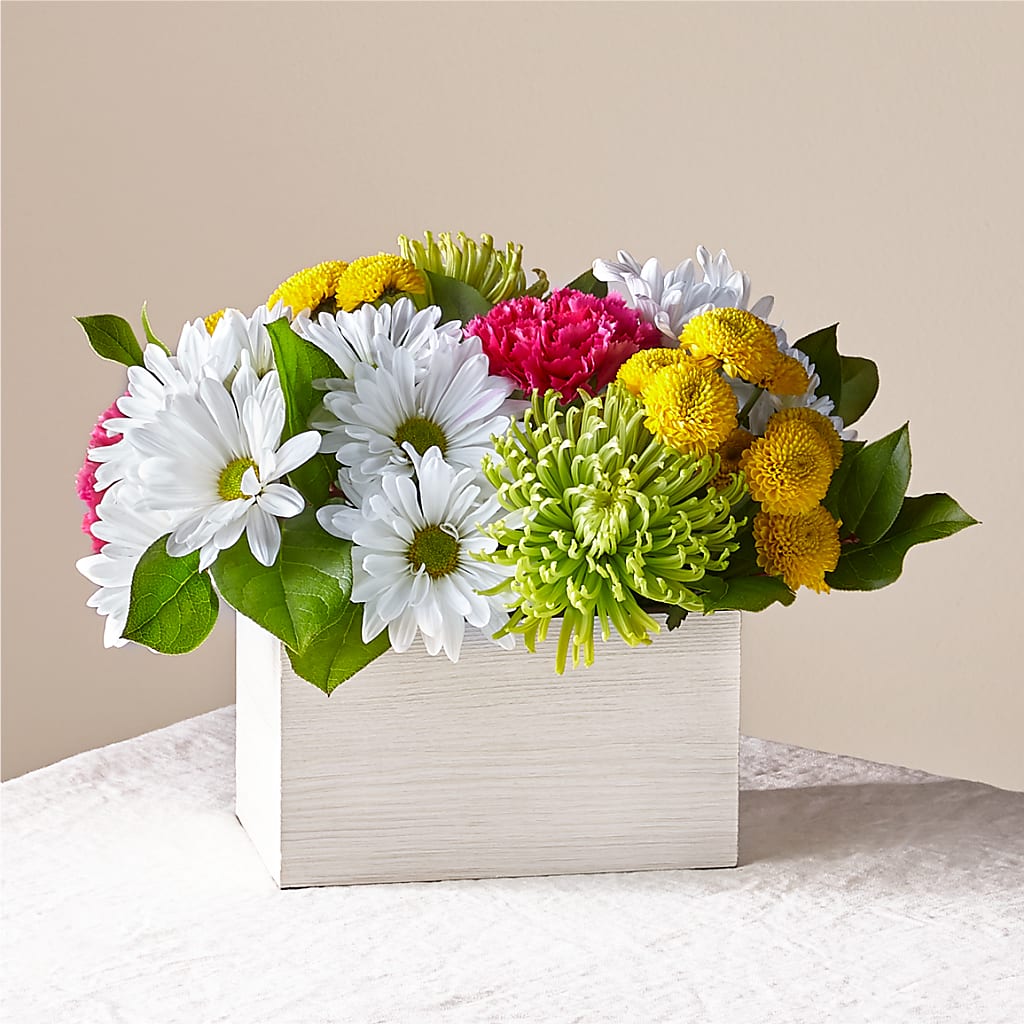 Sorbet Bouquet – Depot Des Fleurs, Montreal PQ