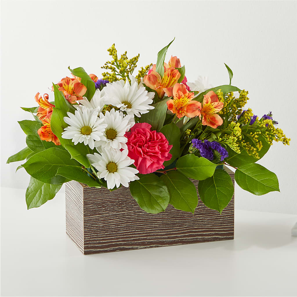 Oopsie Daisy Box Bouquet – Depot Des Fleurs, Montreal PQ