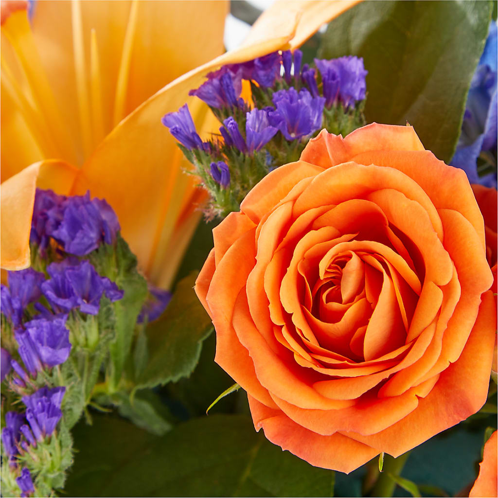 Radiant Citrus Box Bouquet – Depot Des Fleurs, Montreal PQ