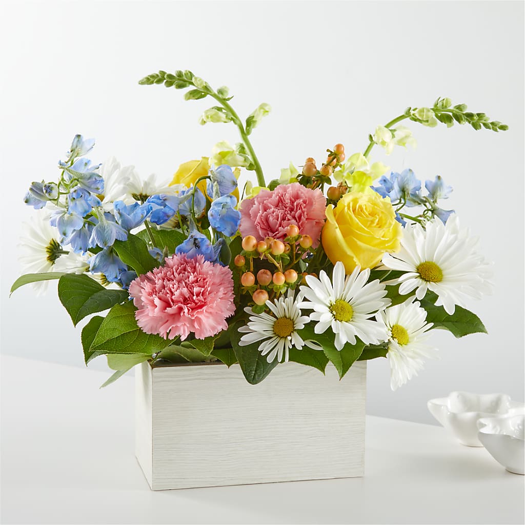 Sun Salutation Box Bouquet – Depot Des Fleurs, Montreal PQ