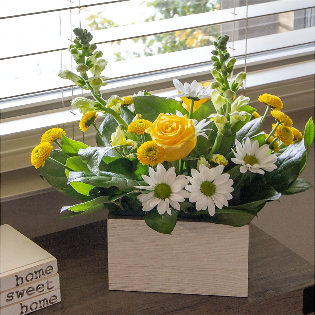 Sun Salutation Box Bouquet – Depot Des Fleurs, Montreal PQ