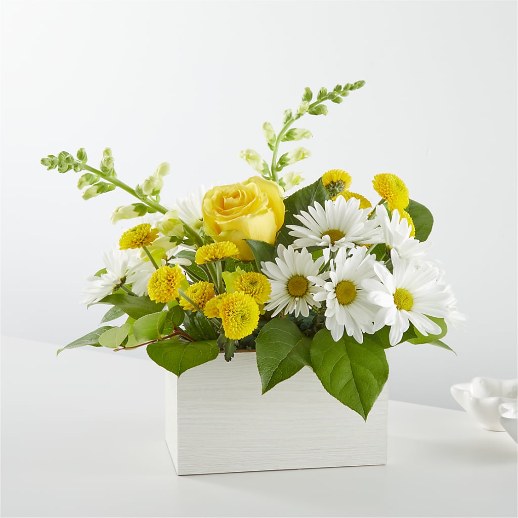 Sun Salutation Box Bouquet – Depot Des Fleurs, Montreal PQ