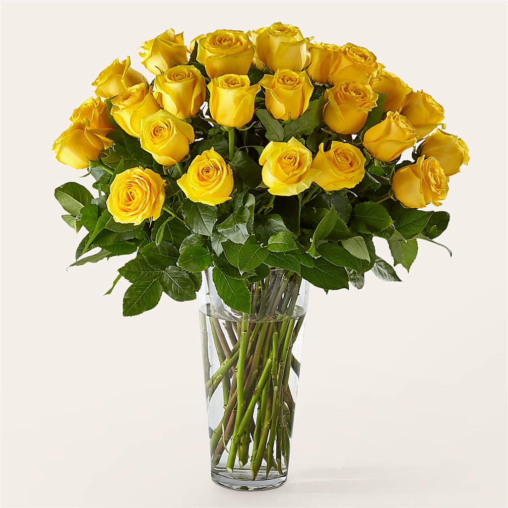 Long Stem Yellow Rose Bouquet – Depot Des Fleurs, Montreal PQ