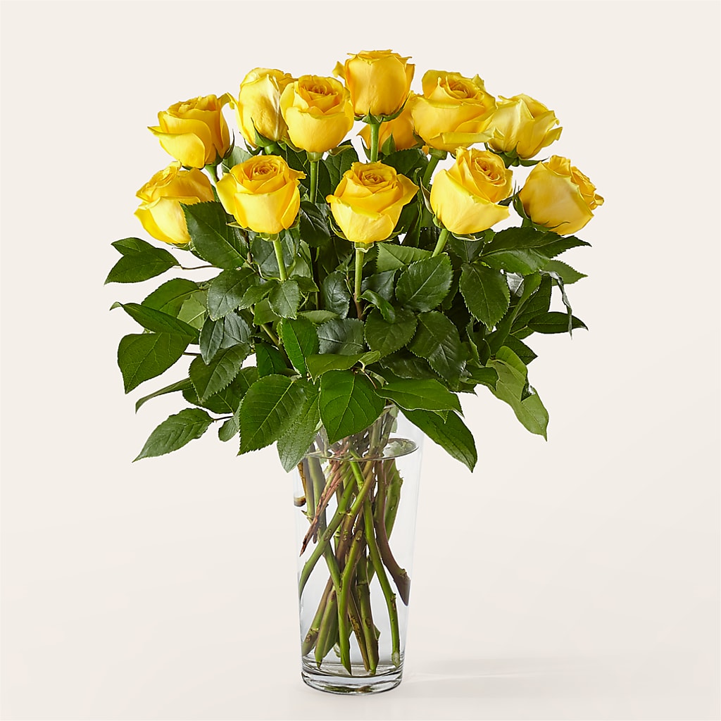 Long Stem Yellow Rose Bouquet – Depot Des Fleurs, Montreal PQ
