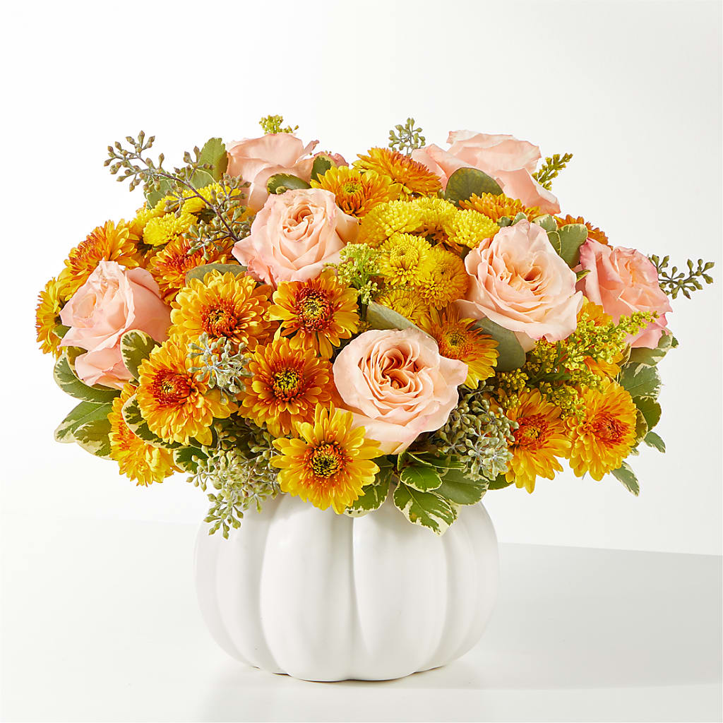 Peachy Pumpkin – Depot Des Fleurs, Montreal PQ