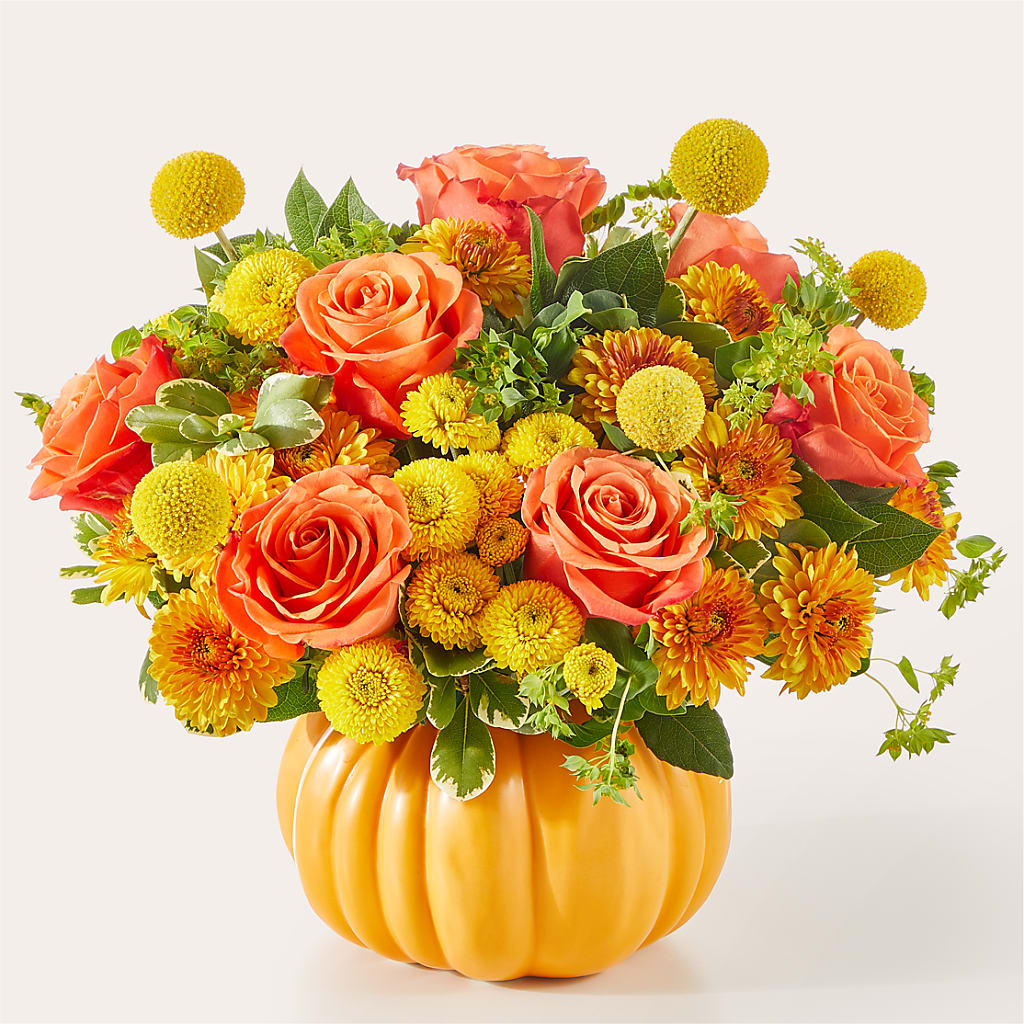 Gourdgeous Pumpkin – Depot Des Fleurs, Montreal PQ