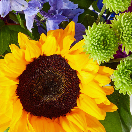 Catching Rays Bouquet – Depot Des Fleurs, Montreal PQ