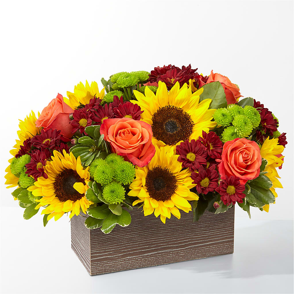 Happy Harvest Garden – Depot Des Fleurs, Montreal PQ