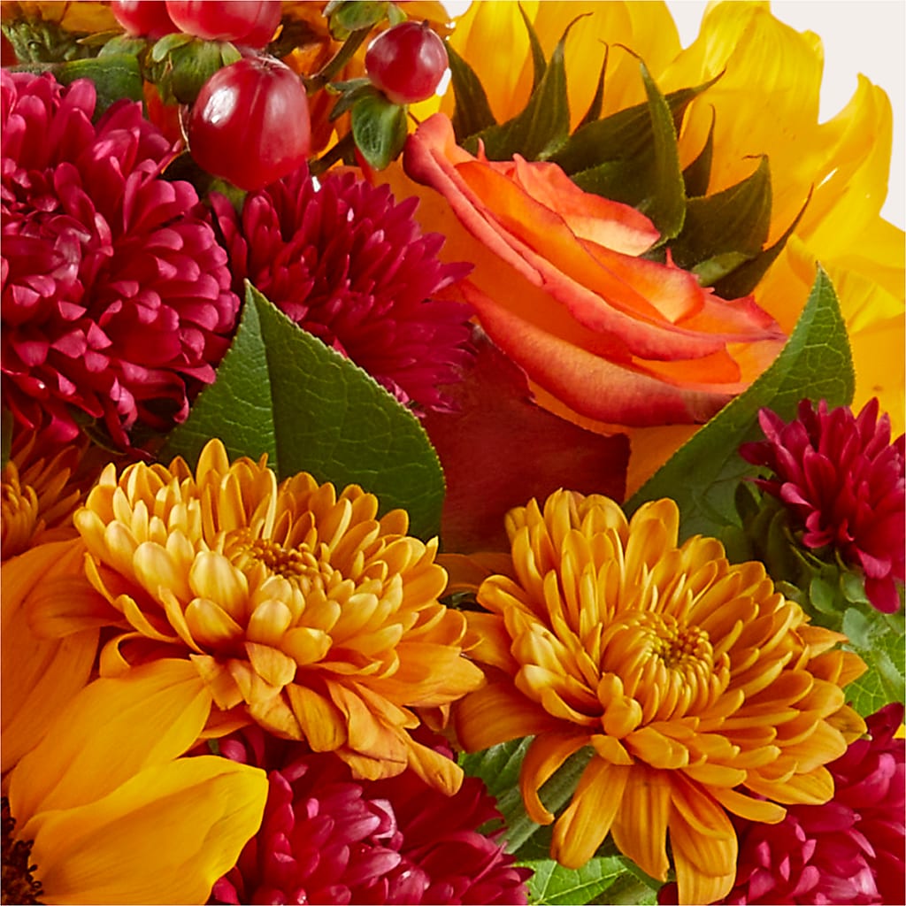 Sweater Season - A Florist Original – Depot Des Fleurs, Montreal PQ