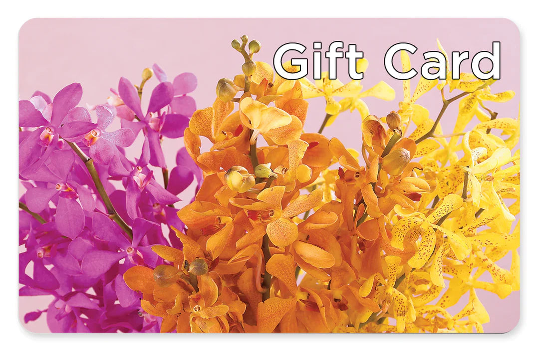 Gift Card – Depot Des Fleurs, Montreal PQ