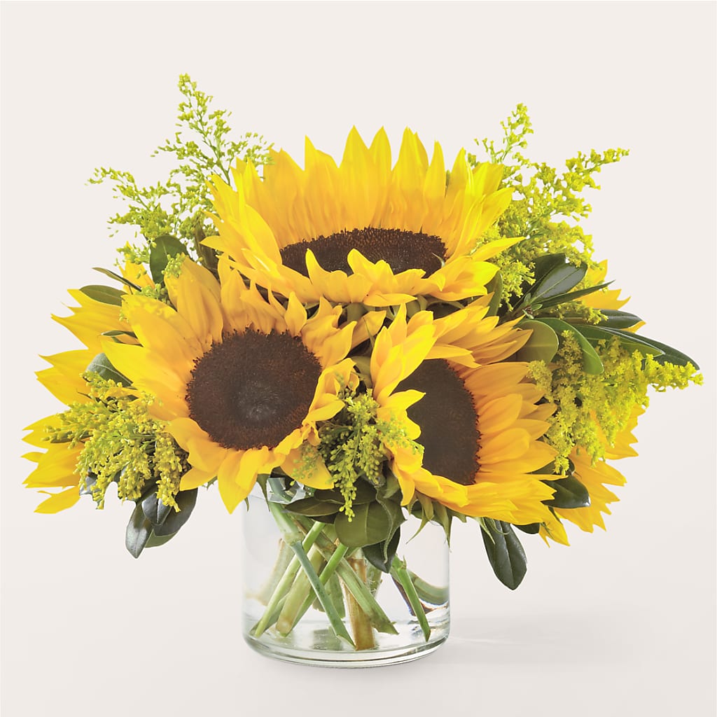 Beaming Sunflower Bouquet – Depot Des Fleurs, Montreal PQ