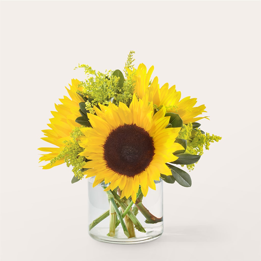 Beaming Sunflower Bouquet – Depot Des Fleurs, Montreal PQ