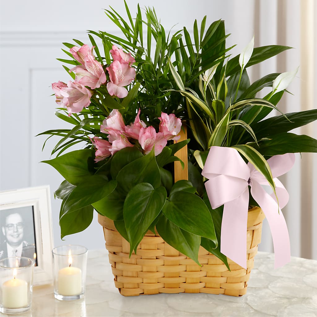 Living Spirit Dishgarden – Depot Des Fleurs, Montreal PQ