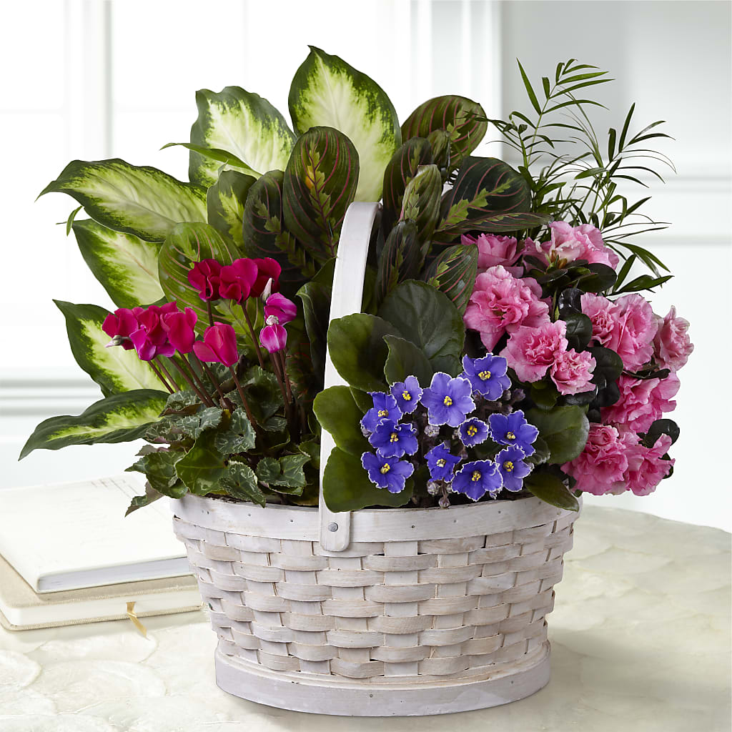 Peaceful Garden Planter – Depot Des Fleurs, Montreal PQ