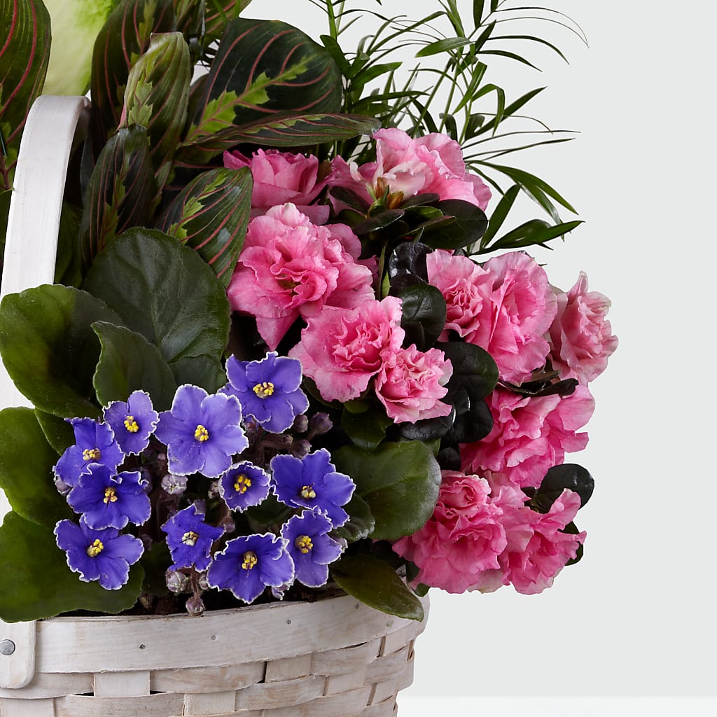 Peaceful Garden Planter – Depot Des Fleurs, Montreal PQ