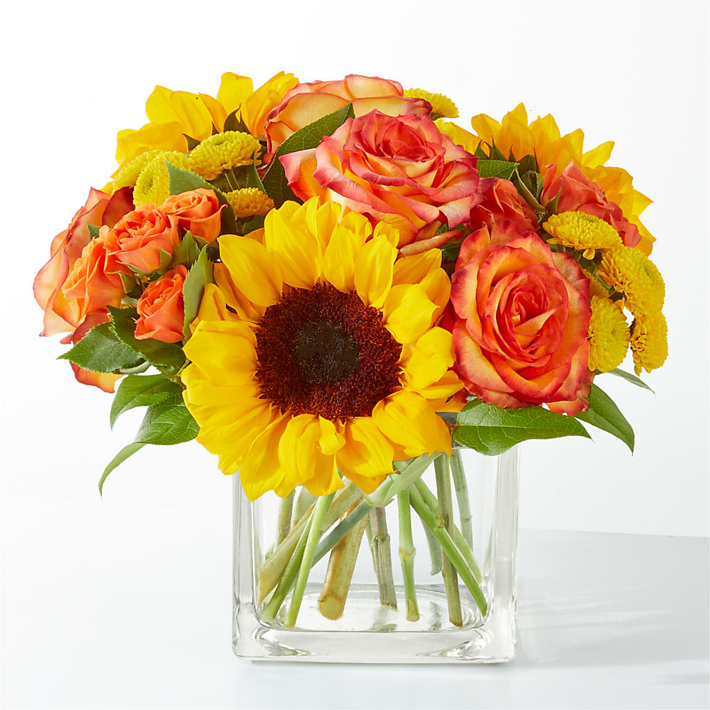 Picnic in the Park Bouquet – Depot Des Fleurs, Montreal PQ