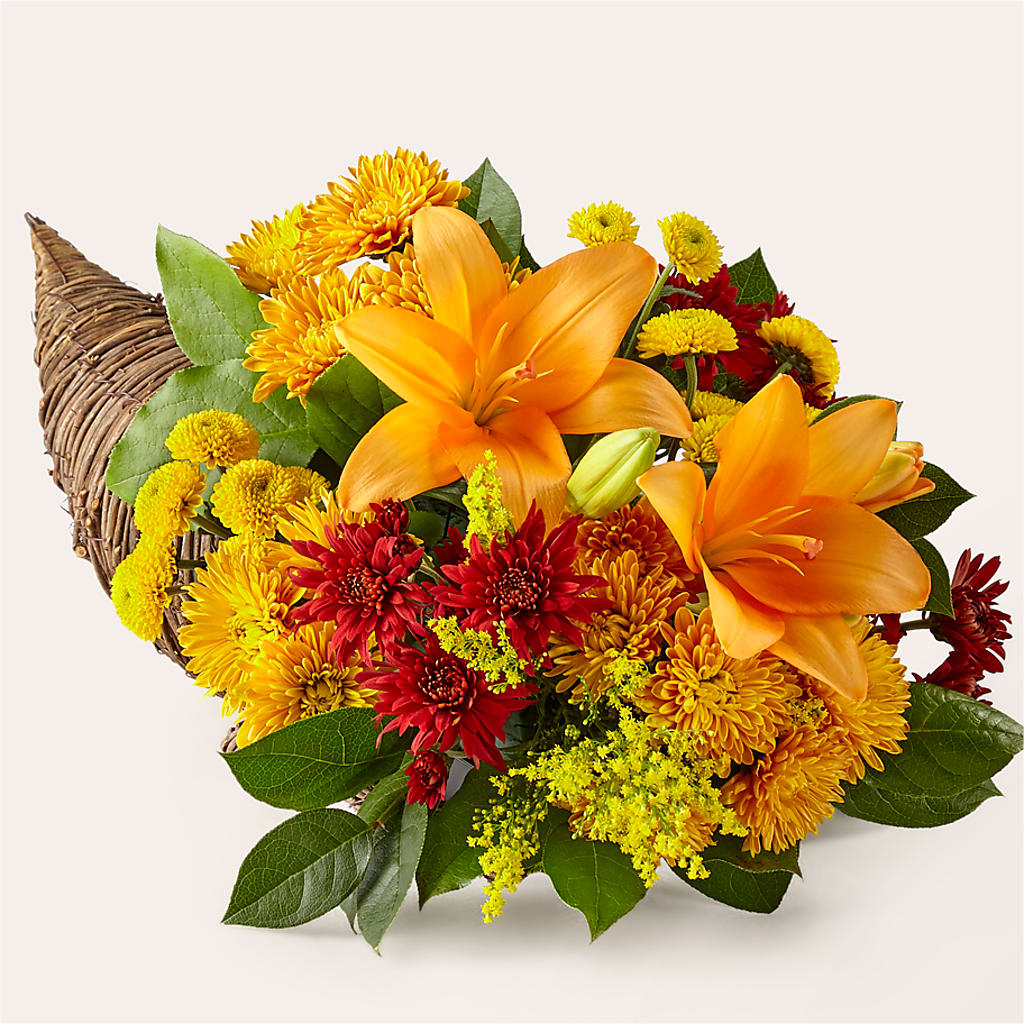 Feast of Color Cornucopia – Depot Des Fleurs, Montreal PQ