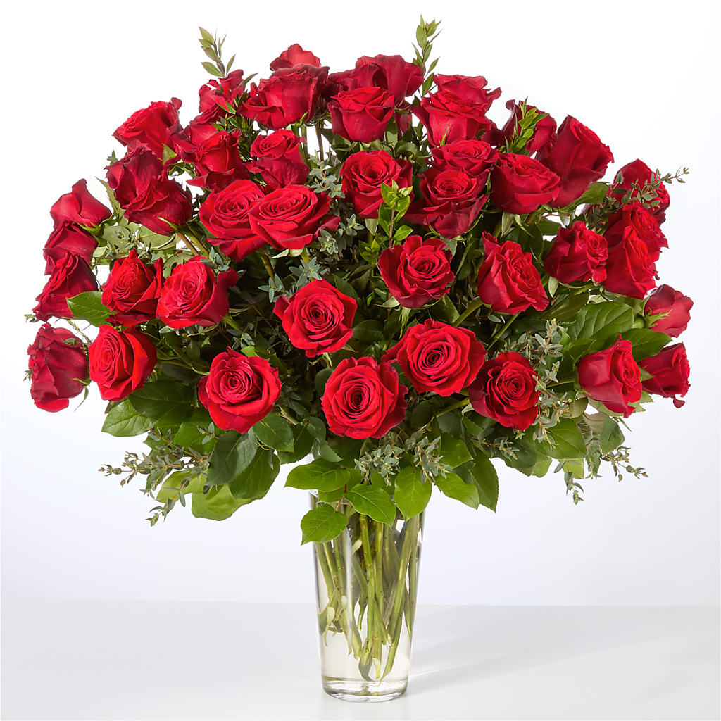 Forever Yours Fifty Stem Red Rose Bouquet – Depot Des Fleurs, Montreal PQ