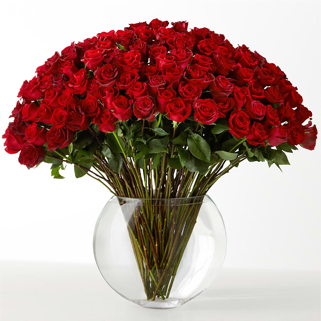 The Idealist – Depot Des Fleurs, Montreal PQ