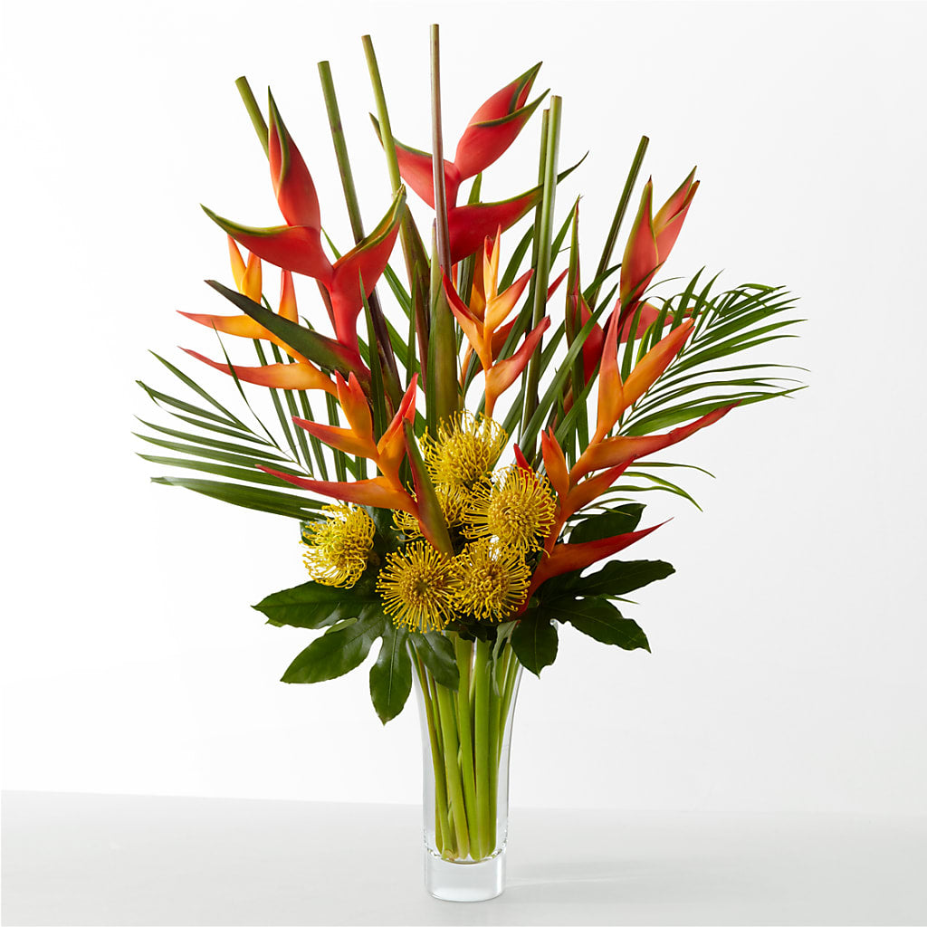 The Drama – Depot Des Fleurs, Montreal PQ