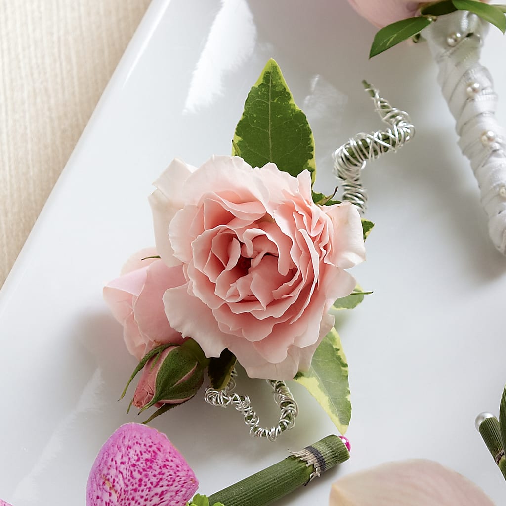 Pink Spray Rose Boutonniere – Depot Des Fleurs, Montreal PQ