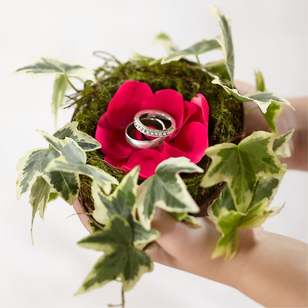 Lila Rose Ring Nest – Depot Des Fleurs, Montreal PQ