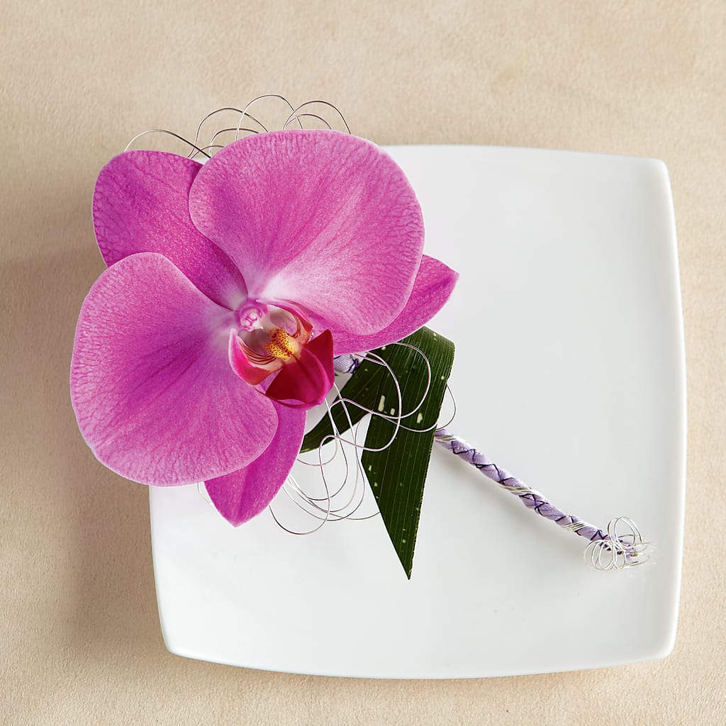 Glorious Boutonniere – Depot Des Fleurs, Montreal PQ