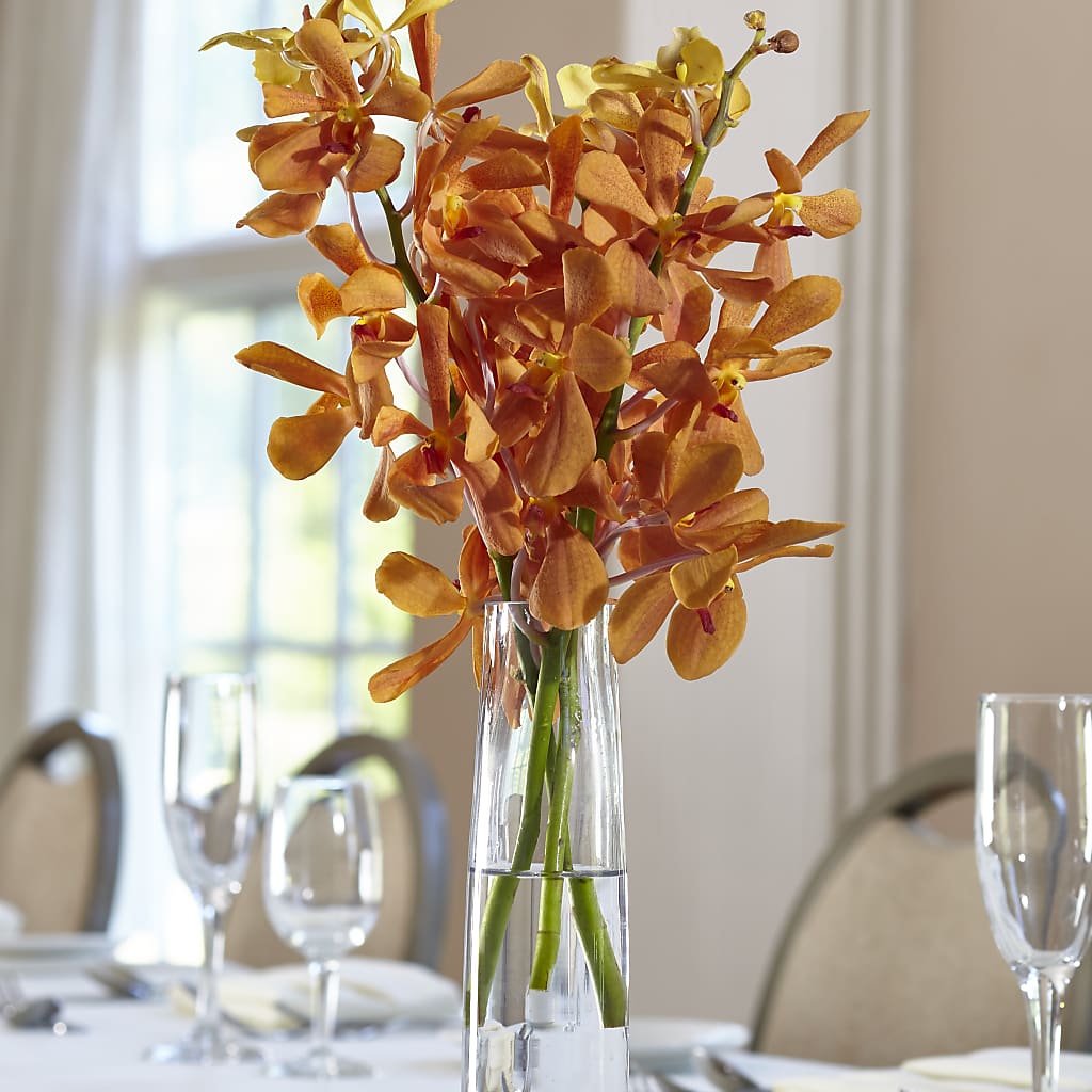 Orange Mokara Bud Vase – Depot Des Fleurs, Montreal PQ