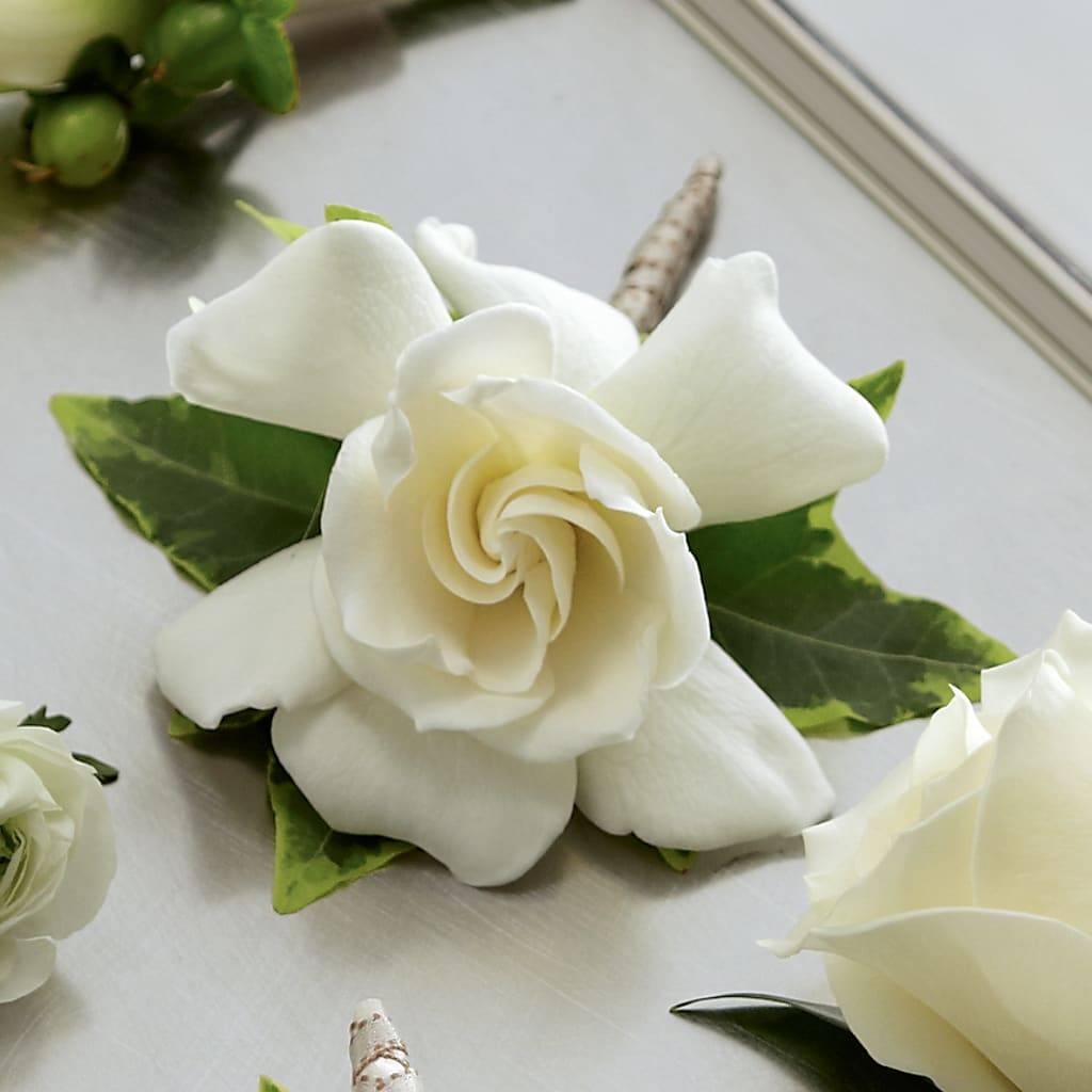 Gardenia Boutonniere – Depot Des Fleurs, Montreal PQ