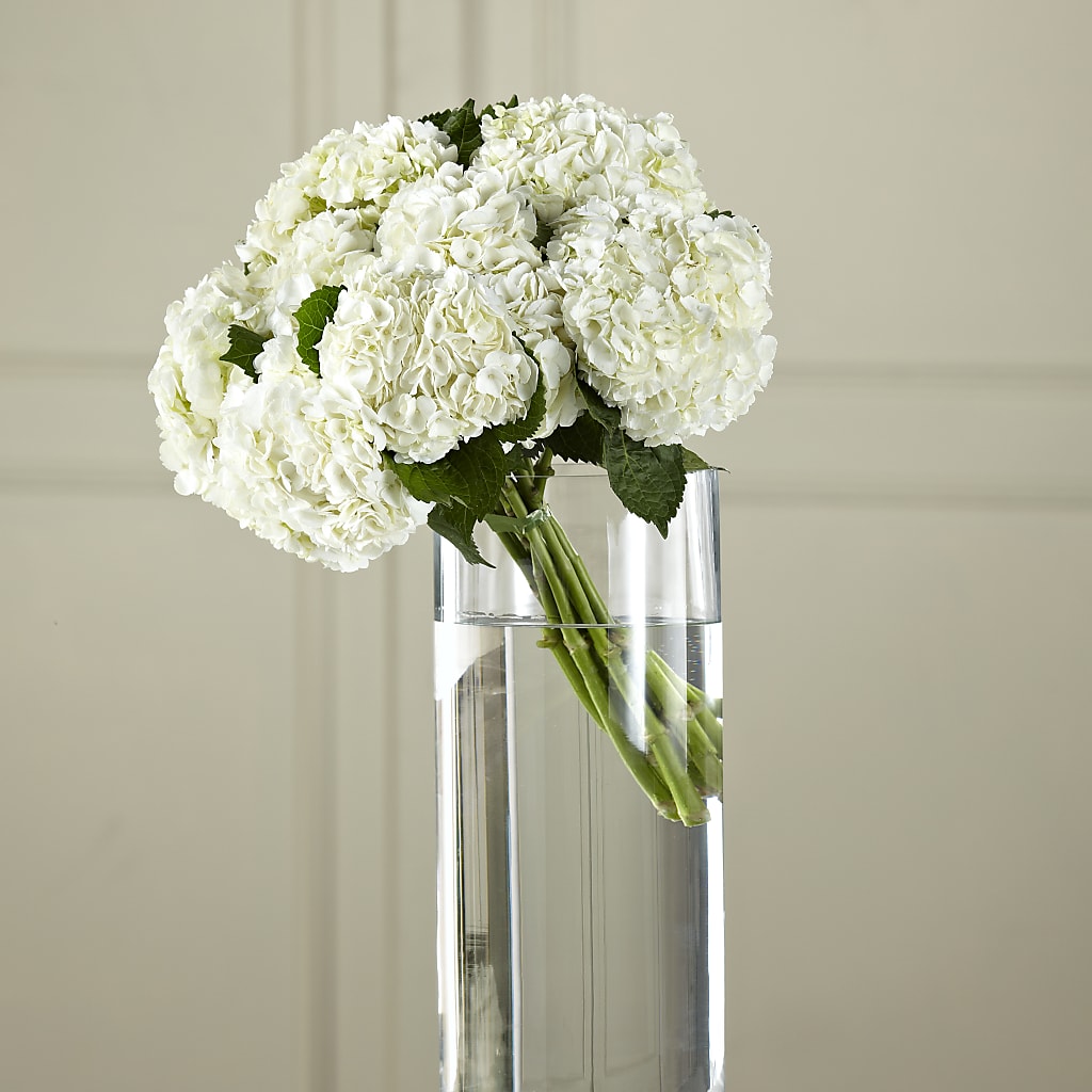 White Hydrangea Hand-Tied Bouquet – Depot Des Fleurs, Montreal PQ