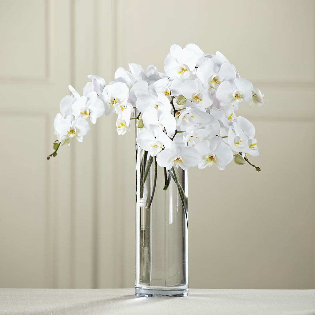 White Phalaenopsis Bouquet – Depot Des Fleurs, Montreal PQ