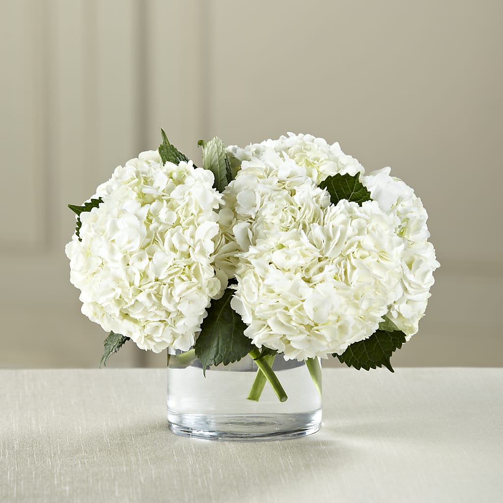 White Hydrangea Bouquet – Depot Des Fleurs, Montreal PQ
