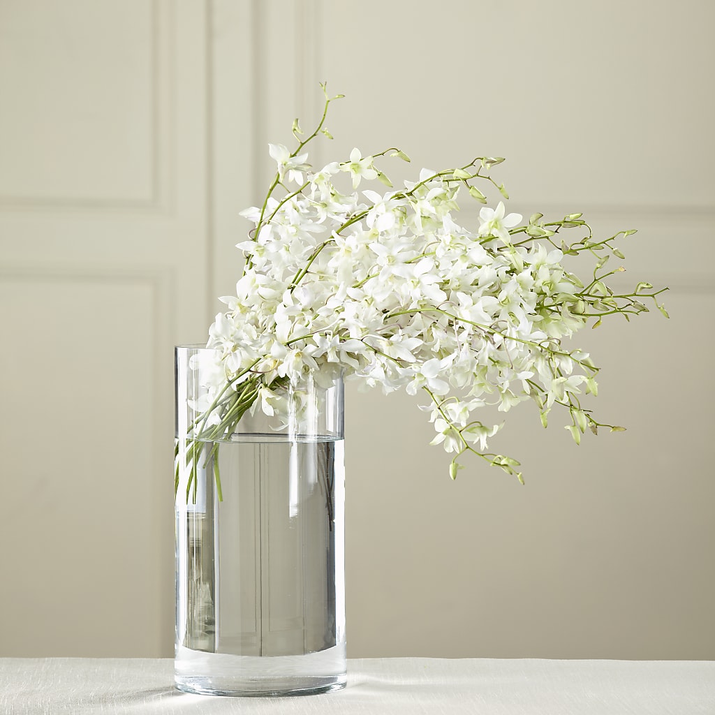 White Dendrobium Bouquet – Depot Des Fleurs, Montreal PQ