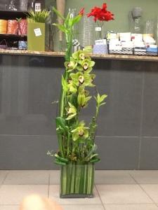The Green Zen –  Depot Des Fleurs, Montreal PQ