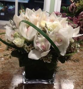 Lovely Day –  Depot Des Fleurs, Montreal PQ