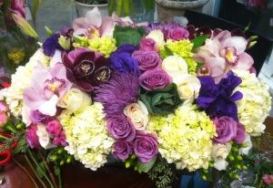 Madly Purple –  Depot Des Fleurs, Montreal PQ