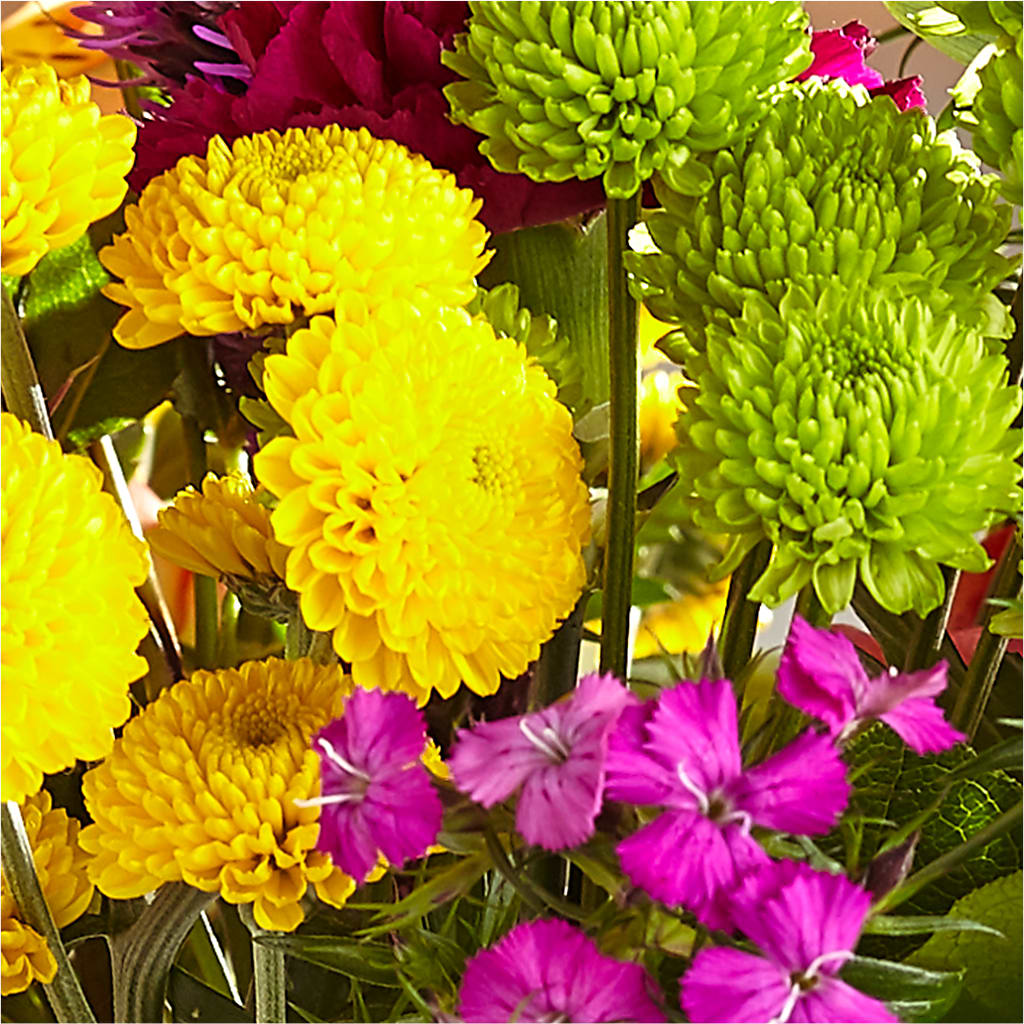 Bold & Bright – A Florist Original –  Depot Des Fleurs, Montreal PQ