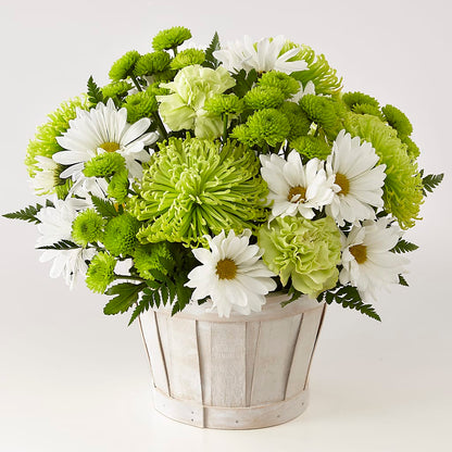 Lucky Charm Basket (Standard) –  Depot Des Fleurs, Montreal PQ
