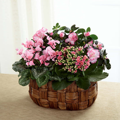 Pink Assortment –  Depot Des Fleurs, Montreal PQ