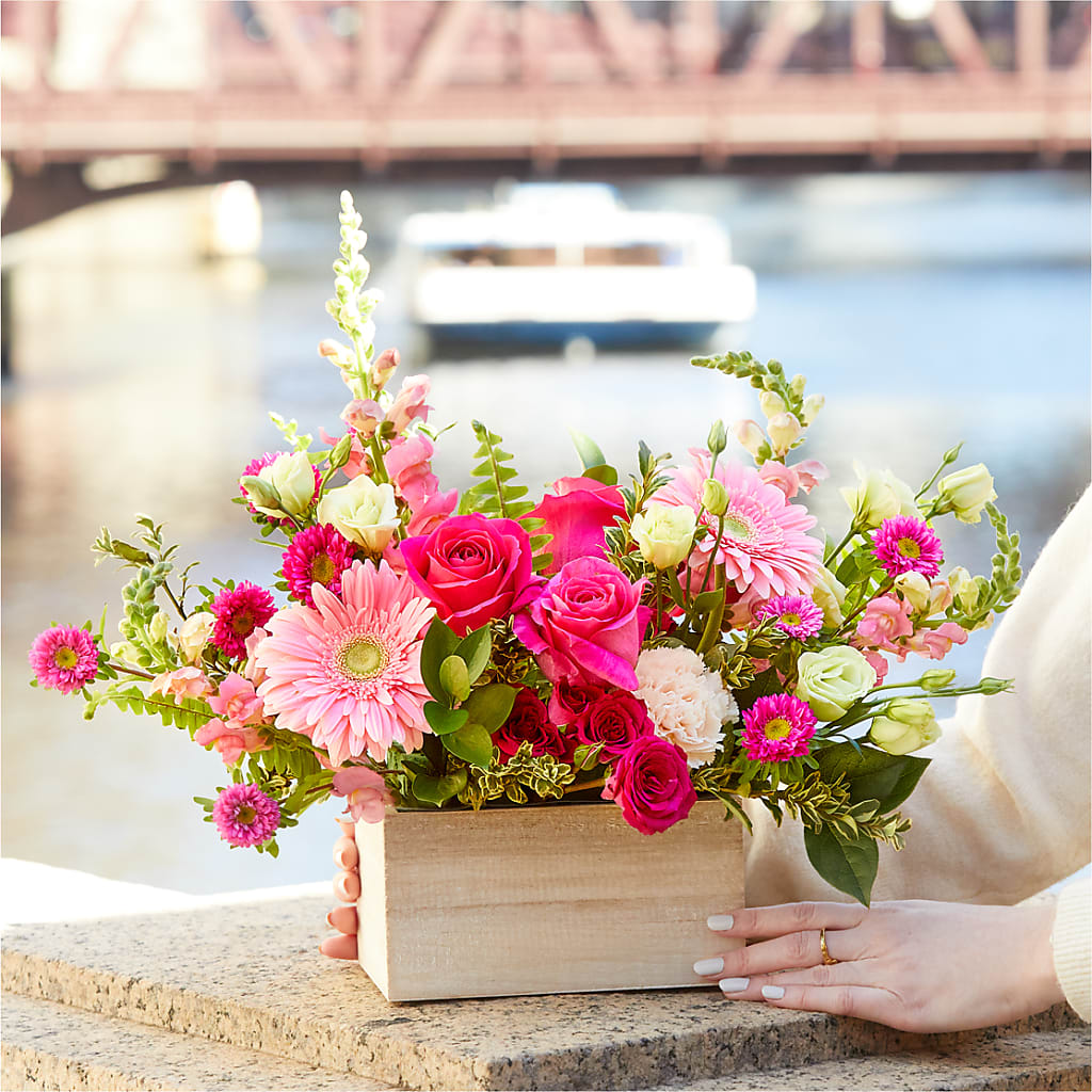 Too Cute Bouquet –  Depot Des Fleurs, Montreal PQ