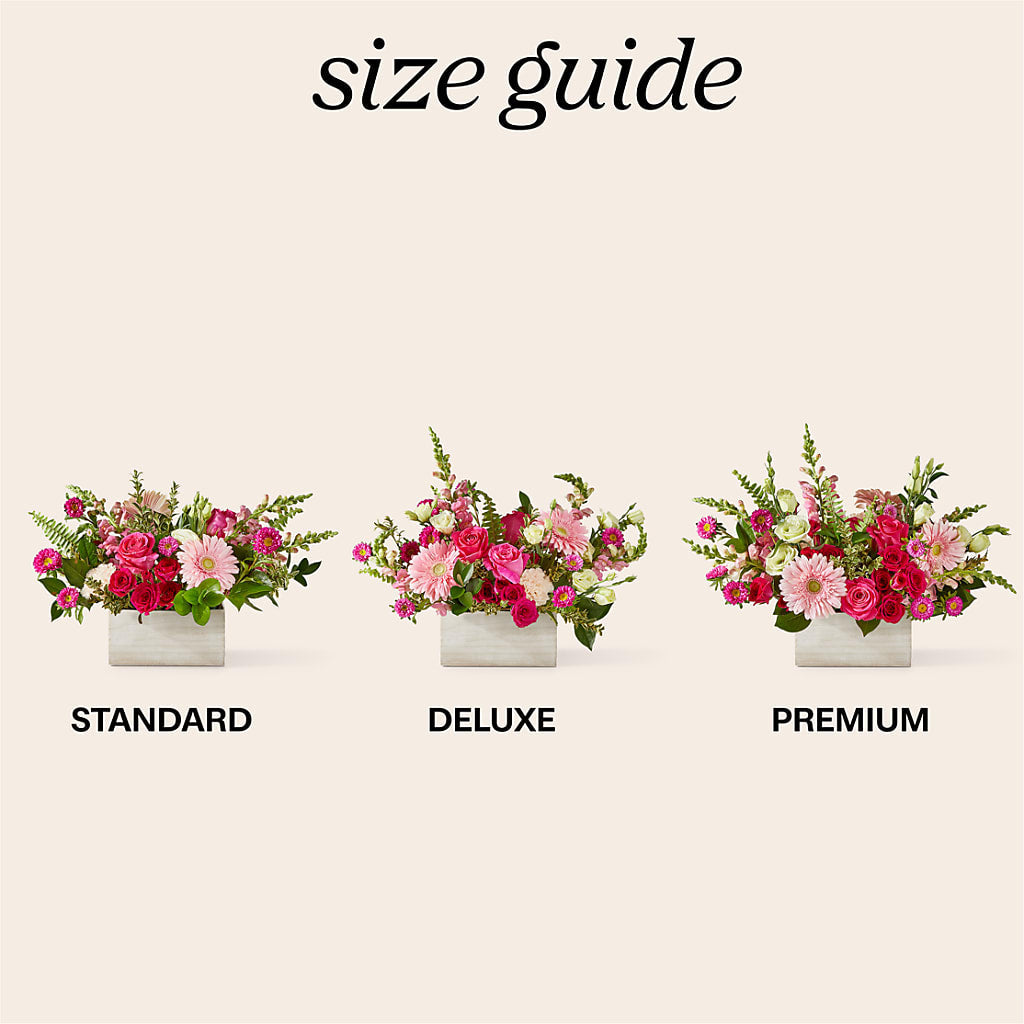 Too Cute Bouquet –  Depot Des Fleurs, Montreal PQ